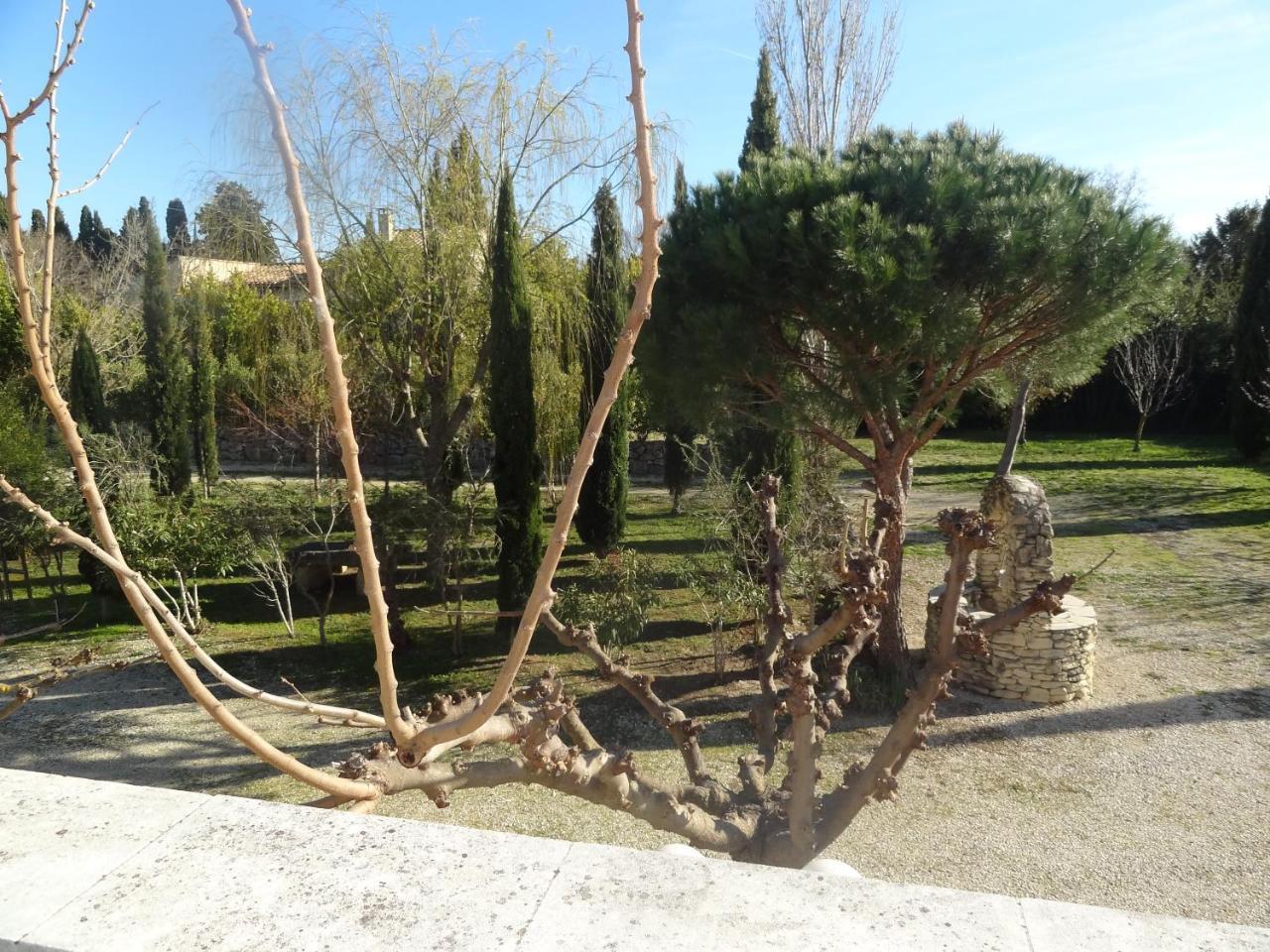 דירות Saint-Rémy-de-Provence Locations Des Alpilles מראה חיצוני תמונה